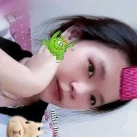 Bắp