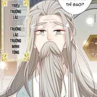 Triệu trưởng lão