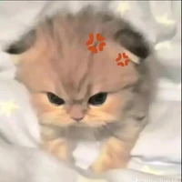tg