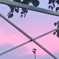 Tác Giả Lười Viết