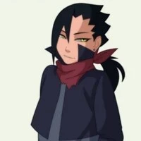 nara shika