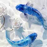 Từ Điển Pokemon