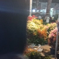 con tác giả đẹp trai