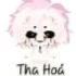 hiha tha hoá