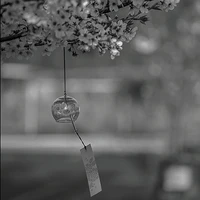 t/g nò>.<