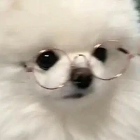 T/g