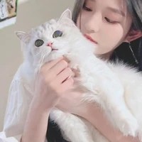 Vương Dịch:11