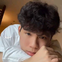 Nguyễn hữu đạt[ phoenix]
