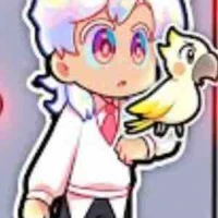 Hiha hologram