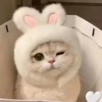 nhỏ t/g éo có liêm sĩ