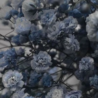 Những người có mặt