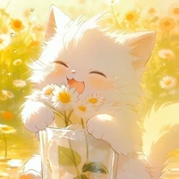 Hệ thống: Bảo Bảo