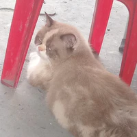 trừ một số ng -mng