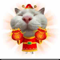 Tg mê hủ đăng đai