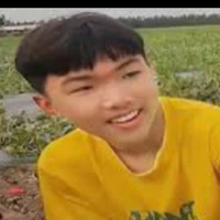Phạm Đình Hoà