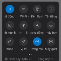 bốn con báo