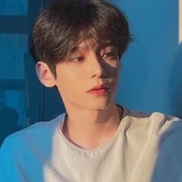 Tống Dương Song Tử