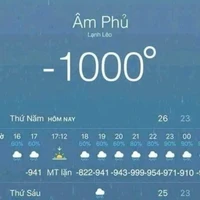 Ẳng ẳng gâu gâu