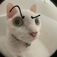 Người ngoài hành lang 👽