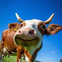 hệ thống 0000000000000000000000