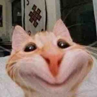 Con tác giả bị bệnh lười giai đoạn cuối 