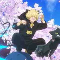 Kengo yozakura