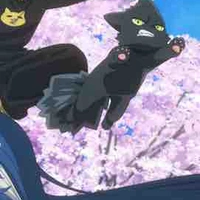 Goliath yozakura