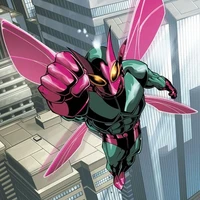 Beetle