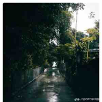 Hệ thống dthw✨✨