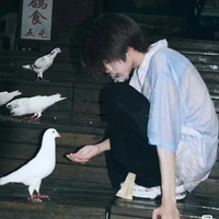 Trần Cự Giải¹⁷ | @cgiai