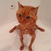 ？？？
