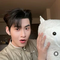 gemini(Hùng)