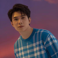 Bùi Anh Tú