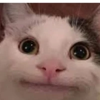 tác giả xàm❤️❤️
