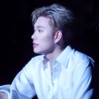 Dương Domic
