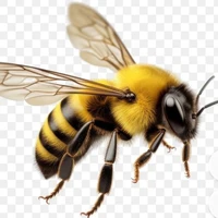 bee