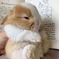 tổng hợp các nhân vật