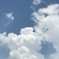 cân mọi thể loại