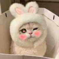 Tác giả yêu Yummie💞