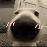 cụk cứk đáng iu😘