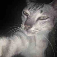 Quản lí của Seunghyun