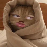 Rii cốt lết