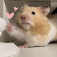 t/giả Chuột babiii cutii