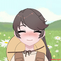 người vn :)