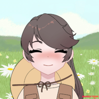 người vn :)
